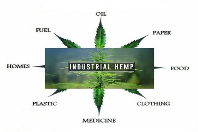 Hemp_Industry