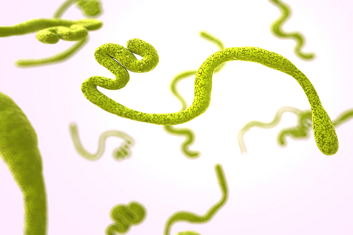 ebola_first_vaccine