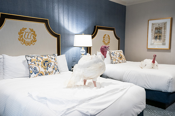 whitehouse_turkey