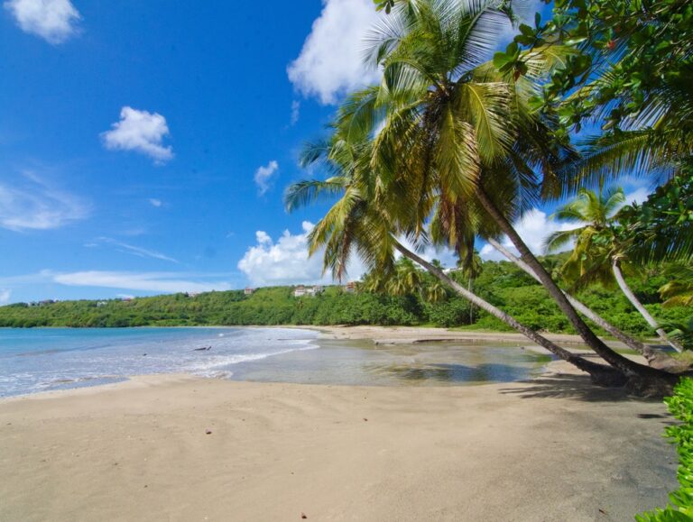 Six Senses La Gagesse