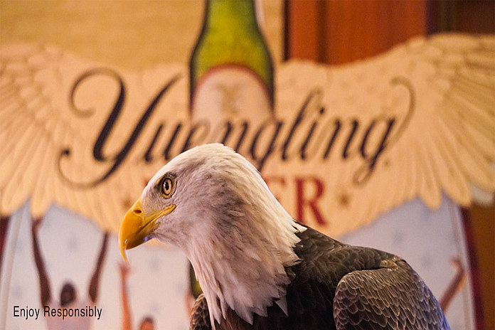 Yuengling AEF-Social-Image