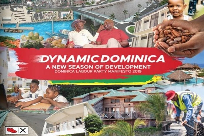 dynamic_dominica