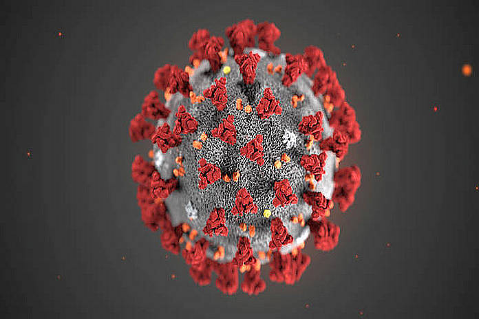 Novel Coronavirus (2019-nCoV)