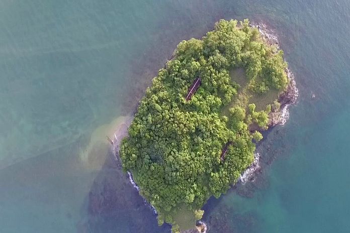 RAT-ISLAND