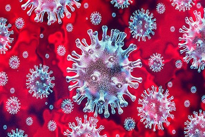 coronavirus_cic