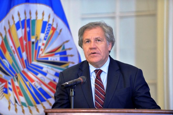 luis_oas