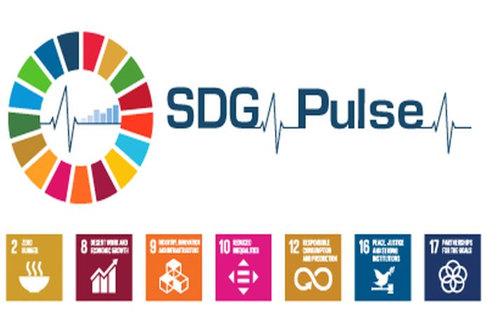 SdgPulse2020