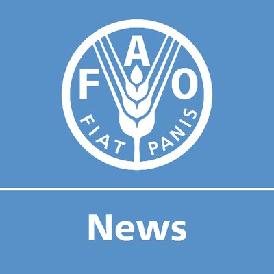 fao news