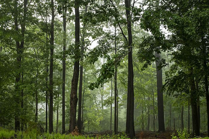 world habitat day 2020