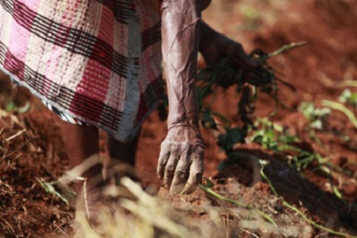africa-covid