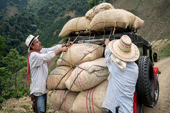 colombian men