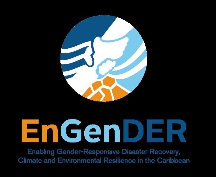undp_engen2020