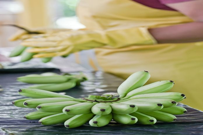 Bananas