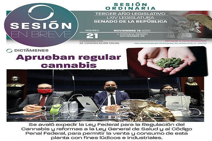 mexico_cannabis