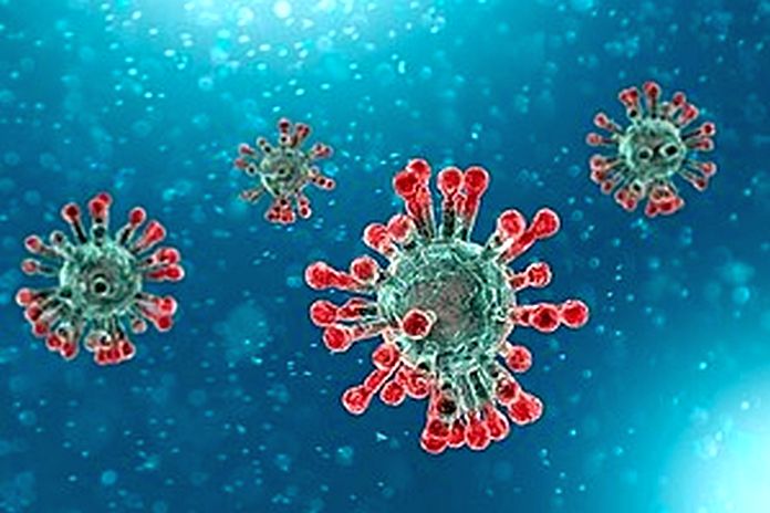 coronavirus