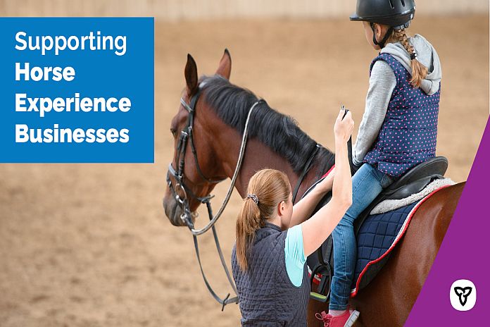 horse_business