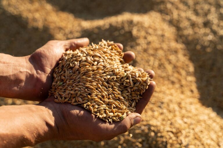 Univar-Solutions-Appointed-Distributor-of-Evergrain-s-Plant-Based-Ingredients-in-Multiple-Regions