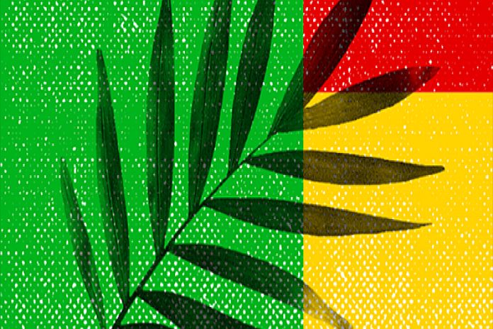 UNEA_palmtree