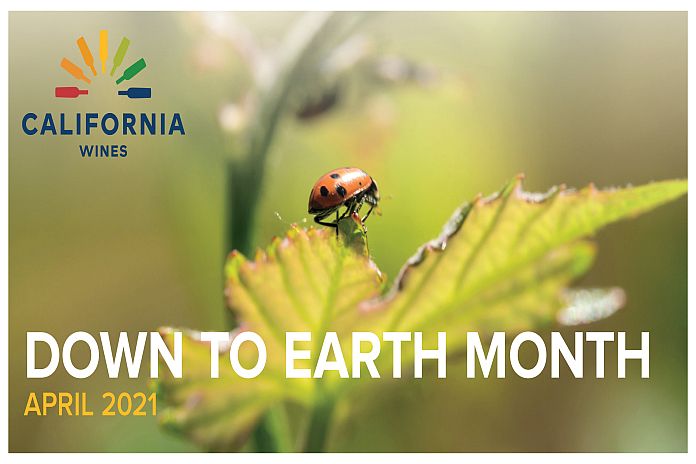 DownToEarthMonth-2021-Banner