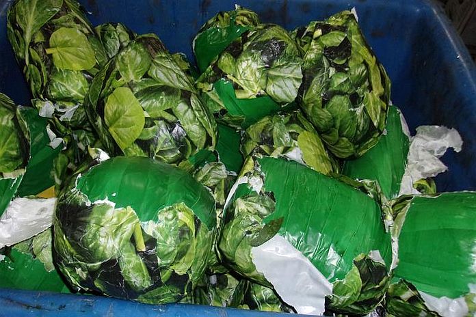 spinach_meth