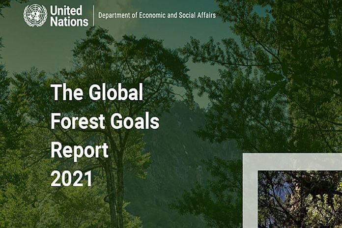 forest 2021