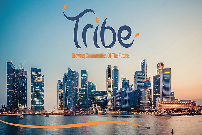 tribe_accelerator