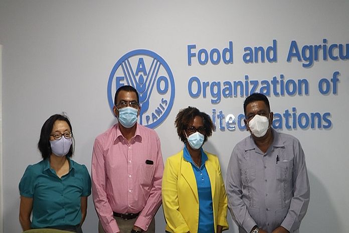 fao_guyana_dpi