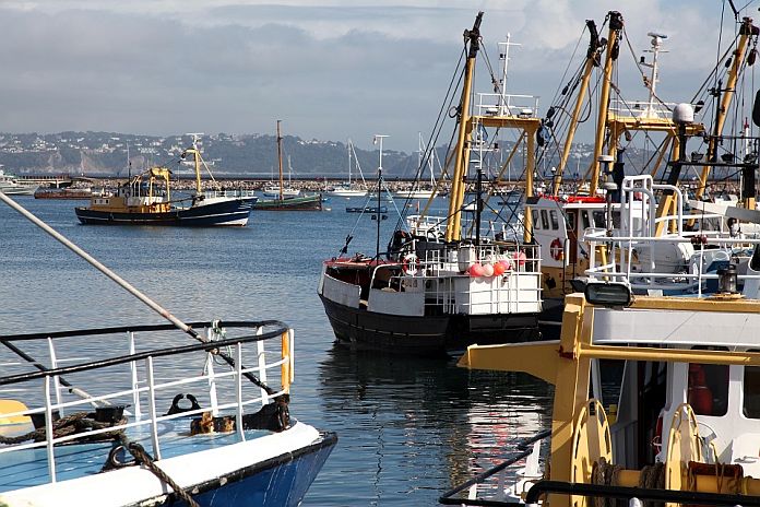 Fishing fleet in harbour