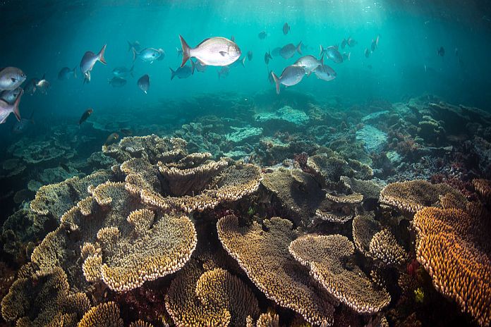 Great Barrier Reef