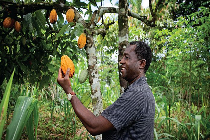 african_farmer