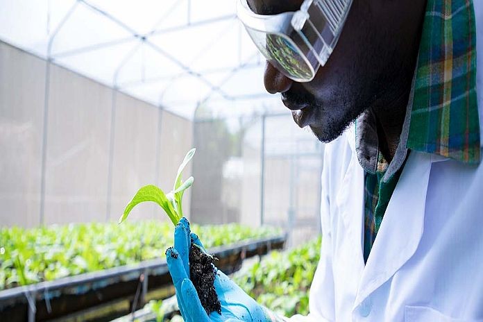 africa_agri