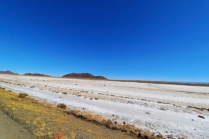 salt_soil