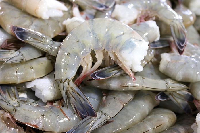 shrimp_mexico