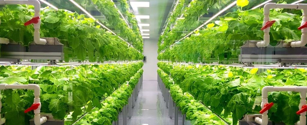 vertical_farming