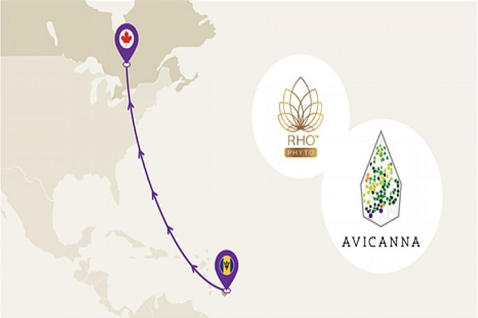 rho_avicanna