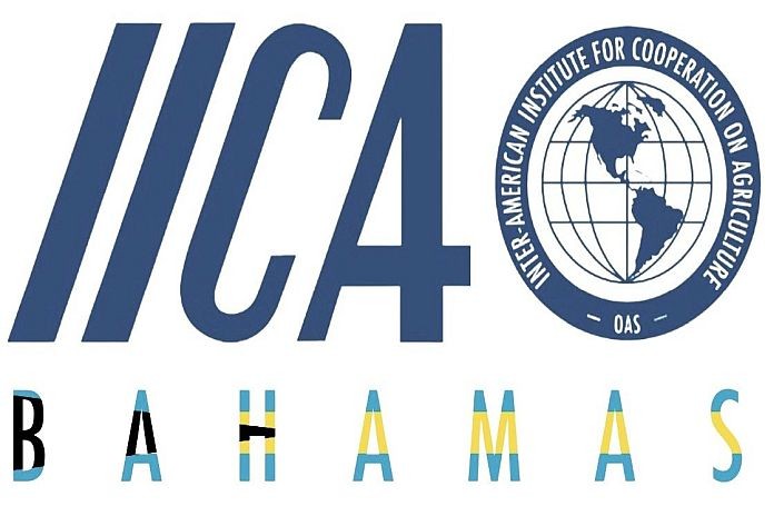 IICA_Logo