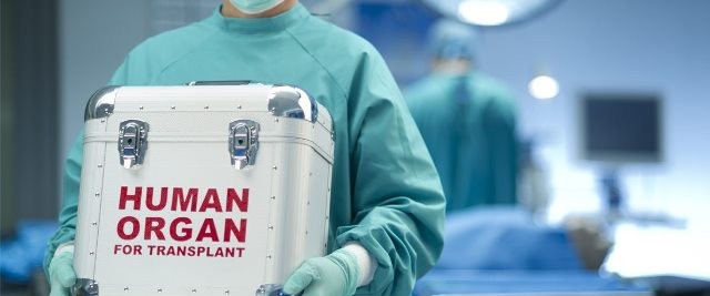 human_organ