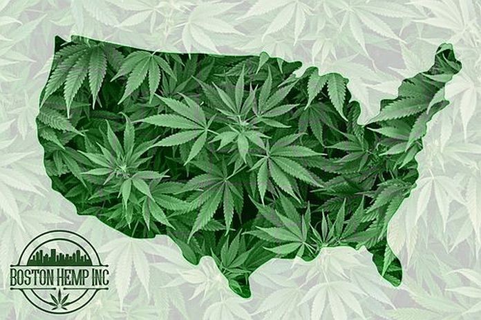 boston_hemp