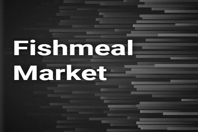 fish_meal