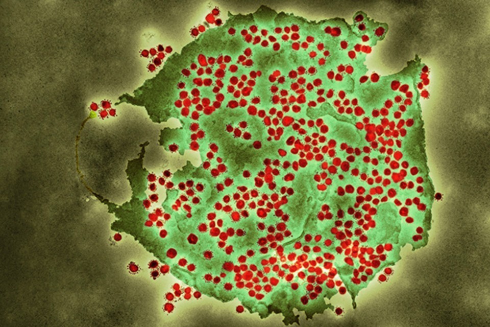 sarc-cov-2-green