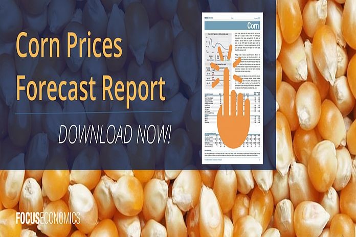 corn_prices_focuseconomics