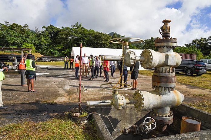 geo_plant_dominica