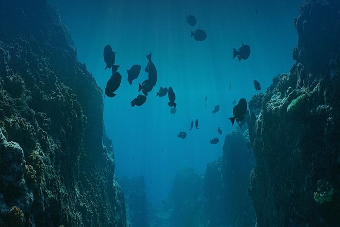 unwto_oceans
