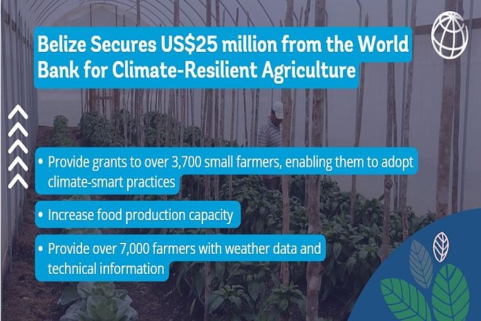 WB Belize Agriculture Project
