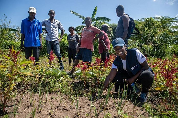 haiti_farmers