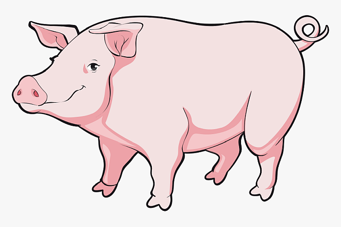 pork