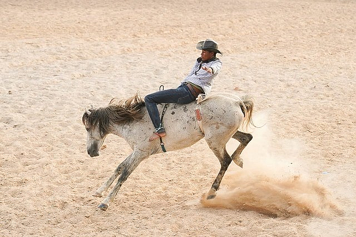 rodeo_2022_guyana