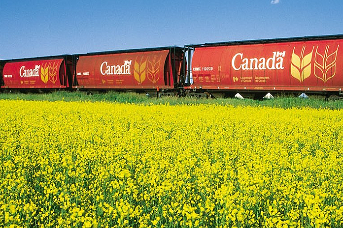 canada_canola