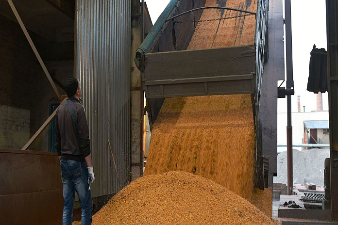 ukraine_corn
