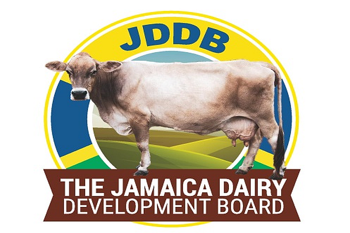 JDDB